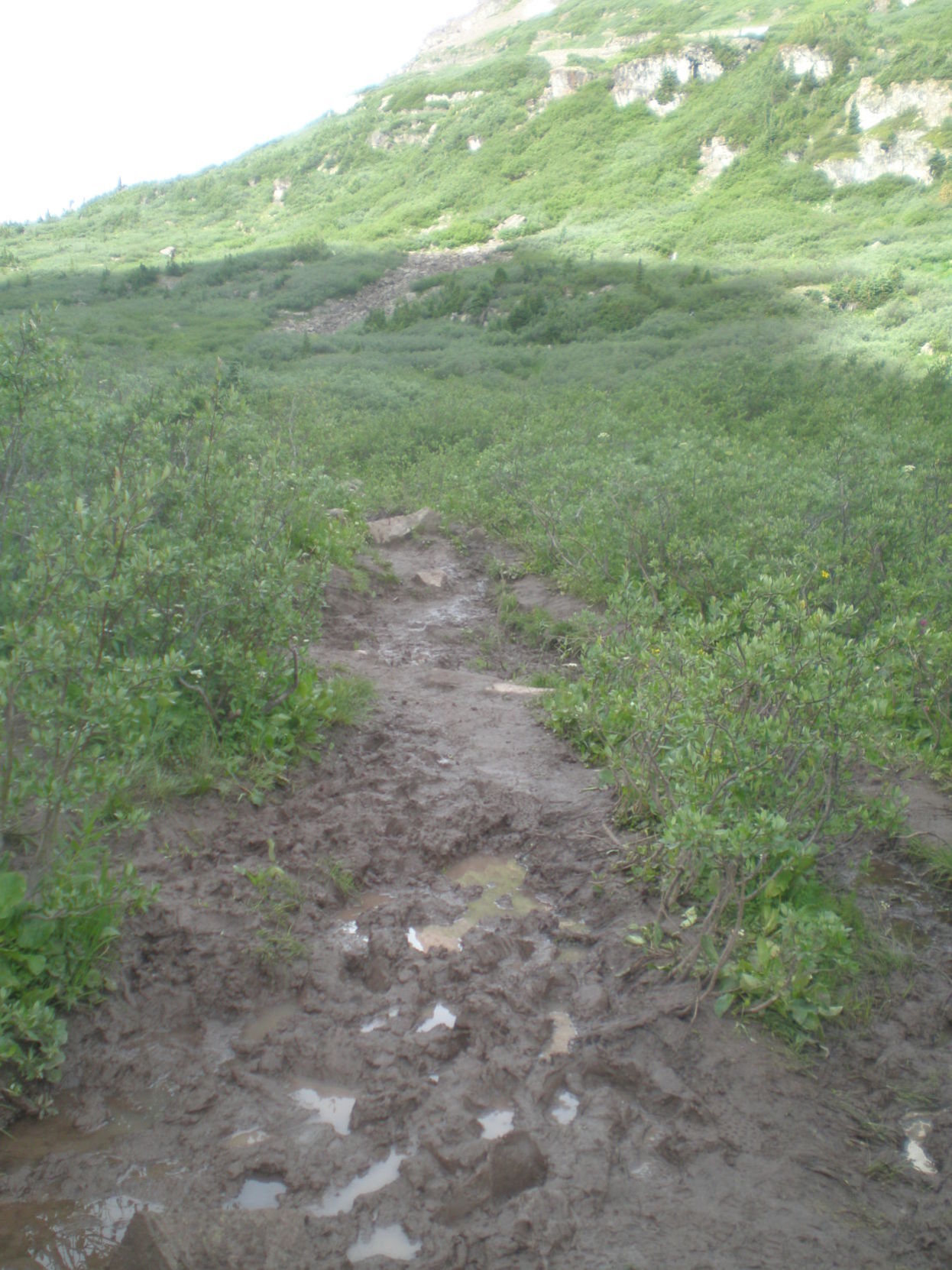 before trail repair